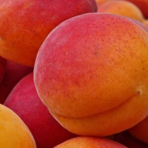 Bio-Marillenbox  (5 kg)  ab 24.06.25 bereit zum Versenden!!!
